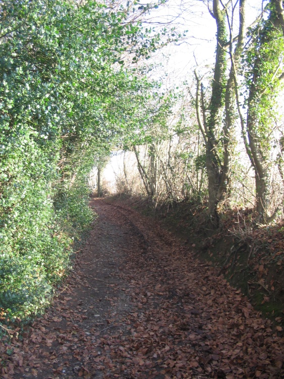Walking around South Warnborough