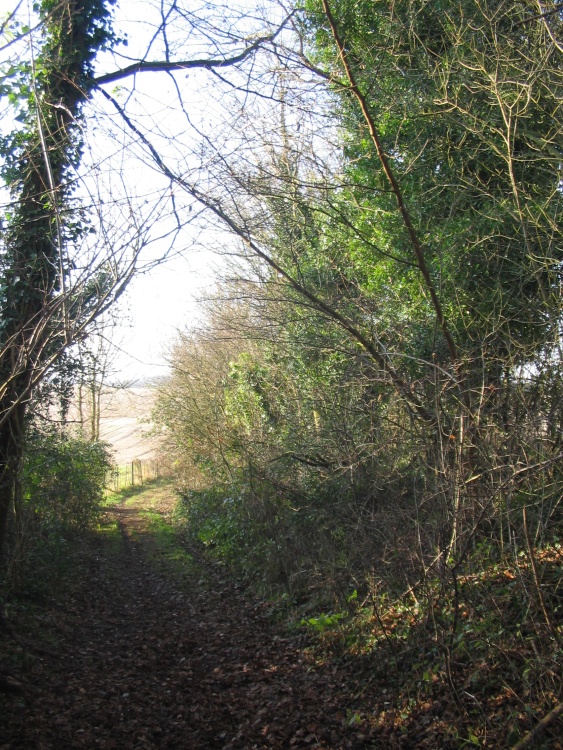 Walking around South Warnborough