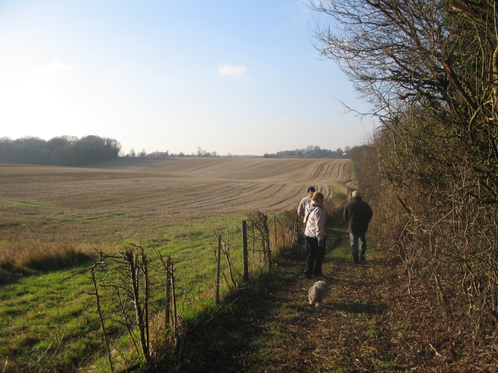 Photograph of Walking around South Warnborough