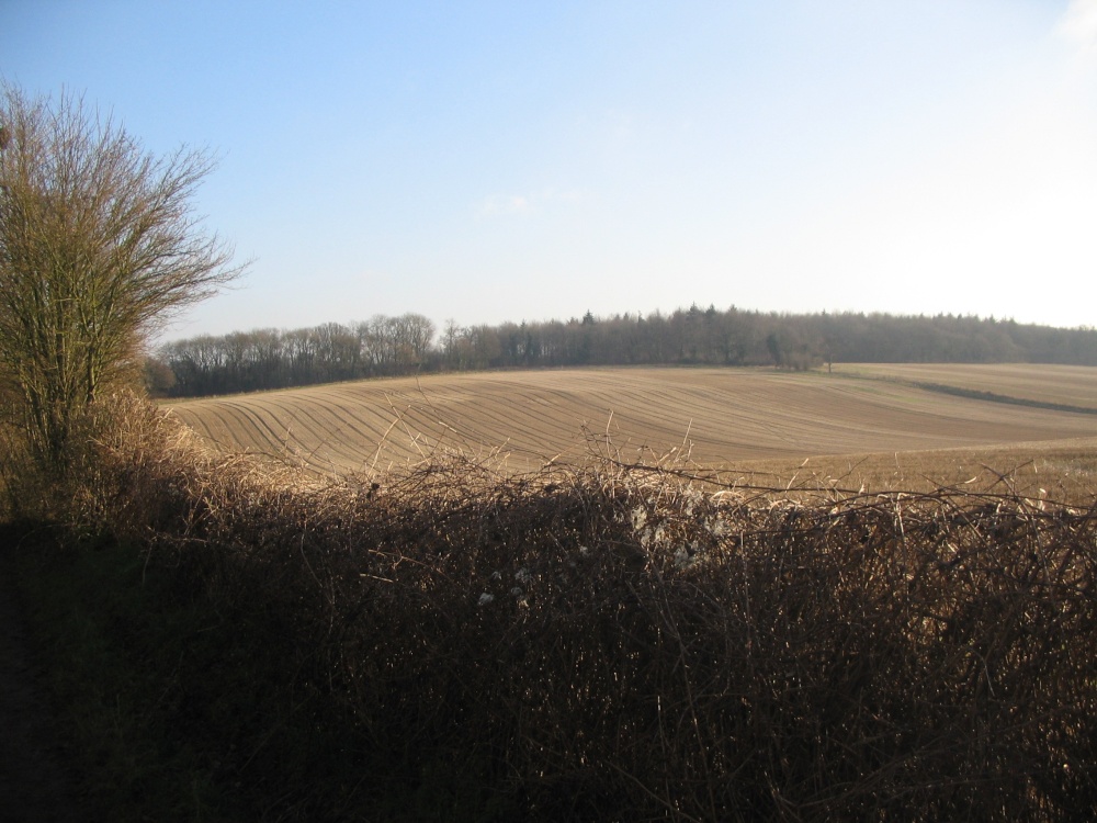 Walking around South Warnborough