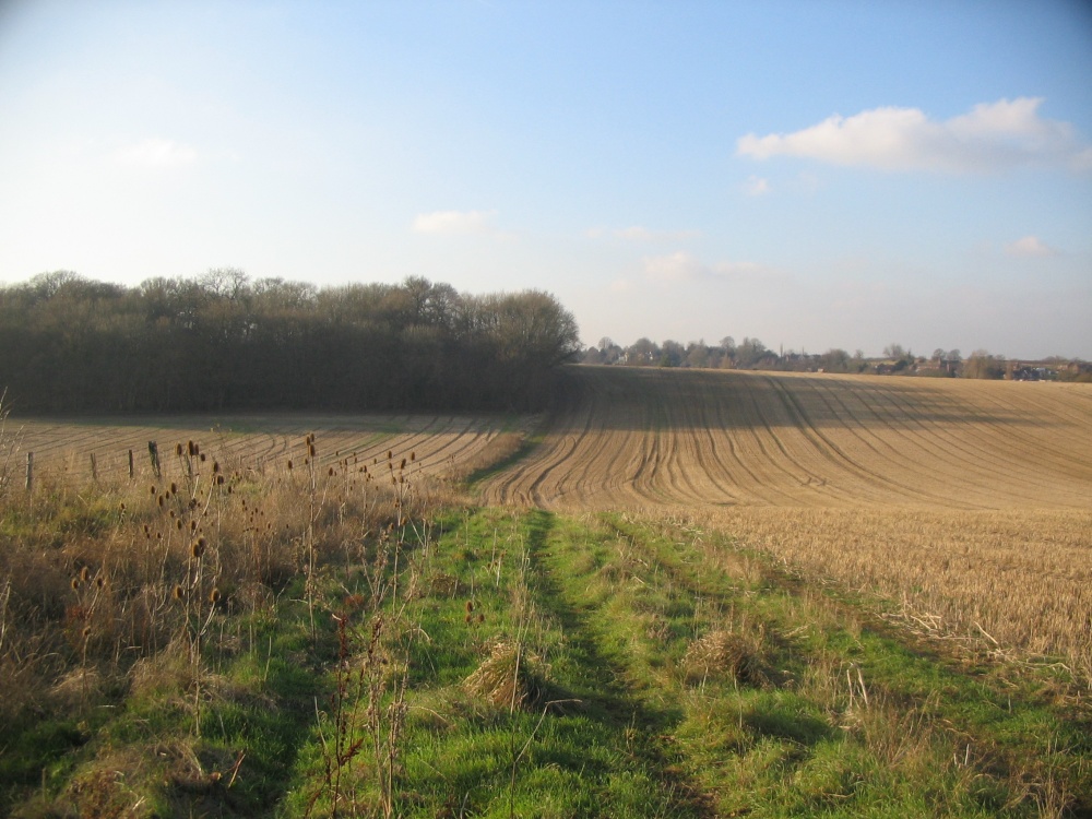 Walking around South Warnborough