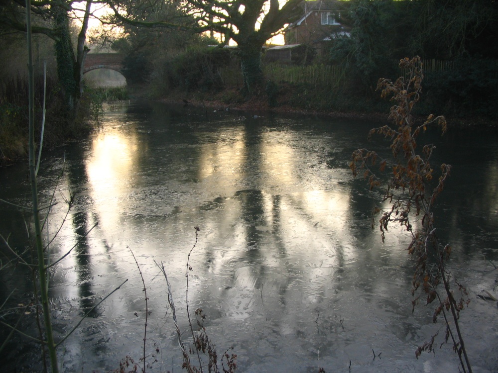 Basingstoke Canal - very cold morning walk