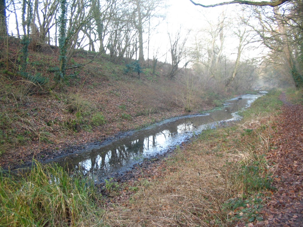 Basingstoke Canal