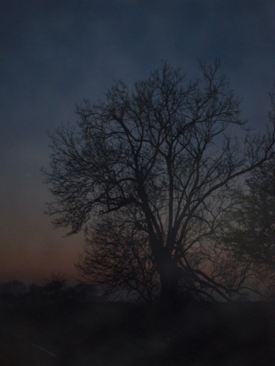 Colours around Riseley