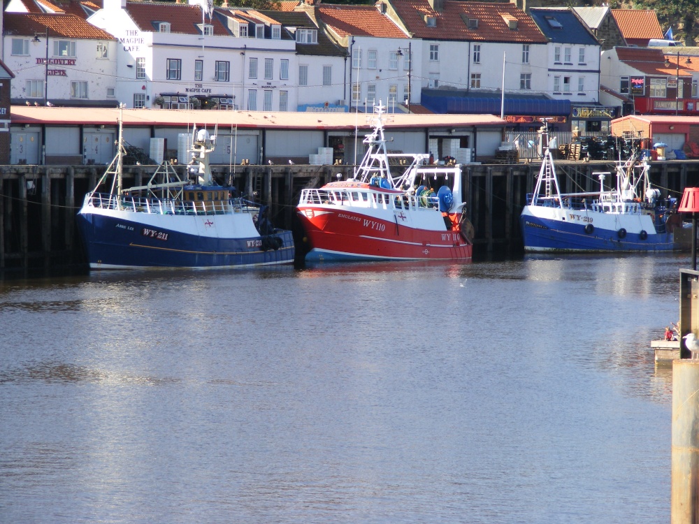 Fishing Boats