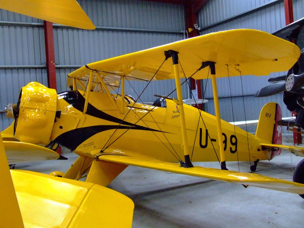 Bucker Jungmann, U-99