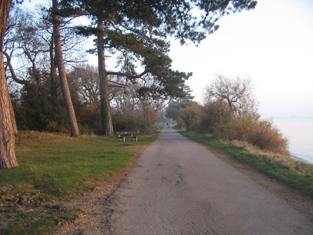 Photograph of Walk