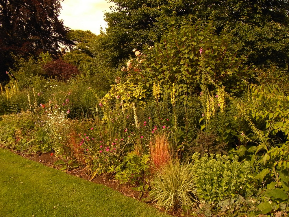 Stradsett Hall Garden Show 4th & 5th July 2009 photo by Nigel Dyson