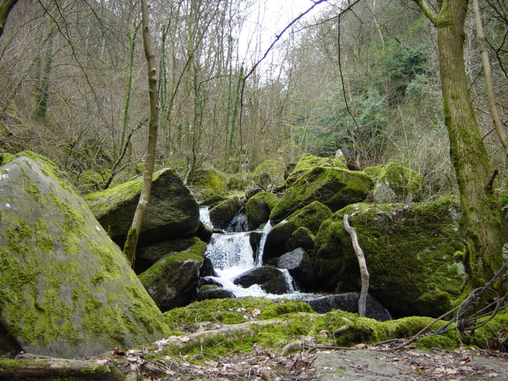 Near Watersmeet (3)