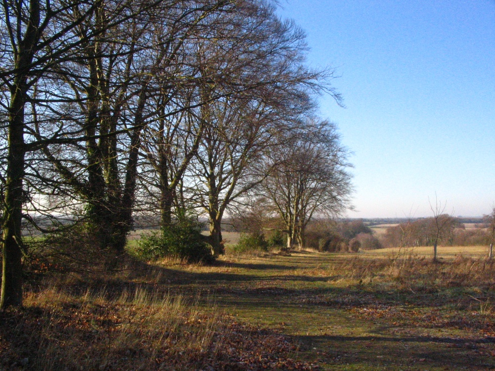 View from 5 lanes (point on walk where '5' paths meet)