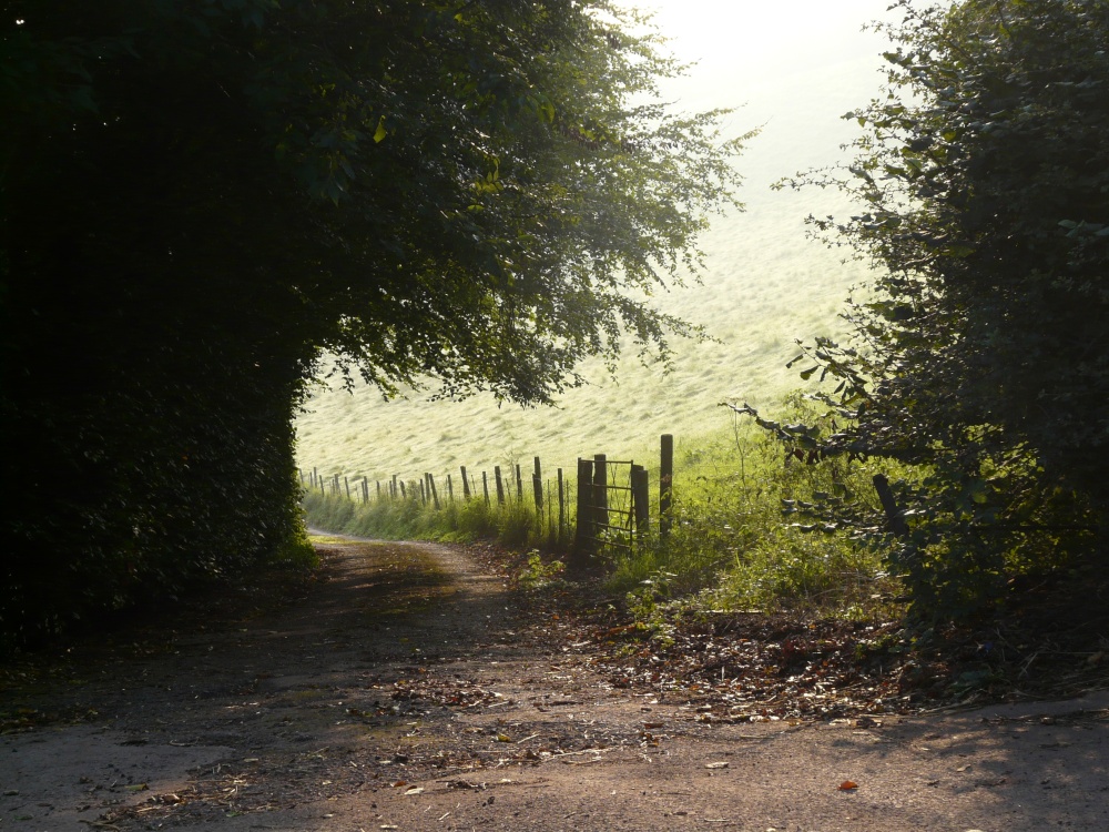 Photograph of Farm lane