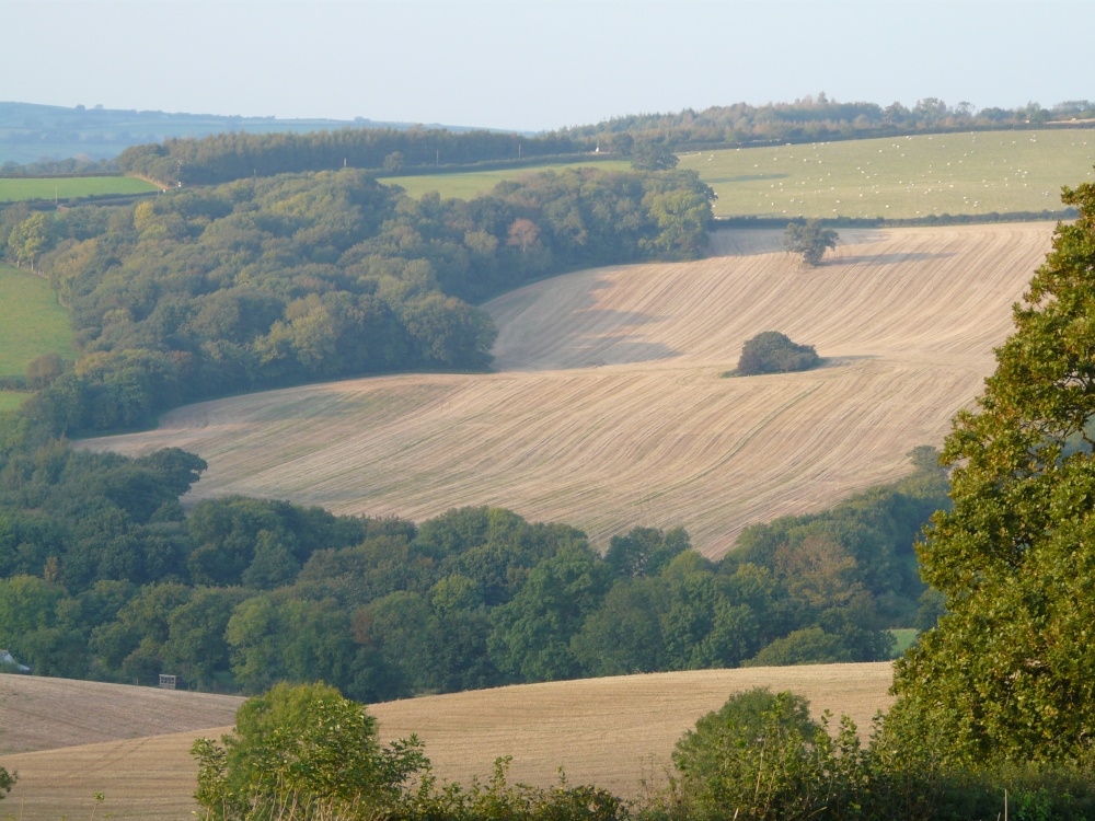 Photograph of View from Raddon Hill