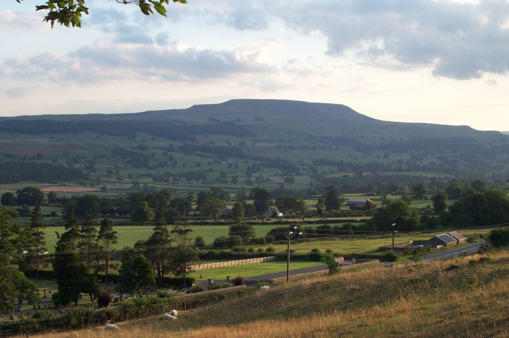 Photograph of Leyburn View