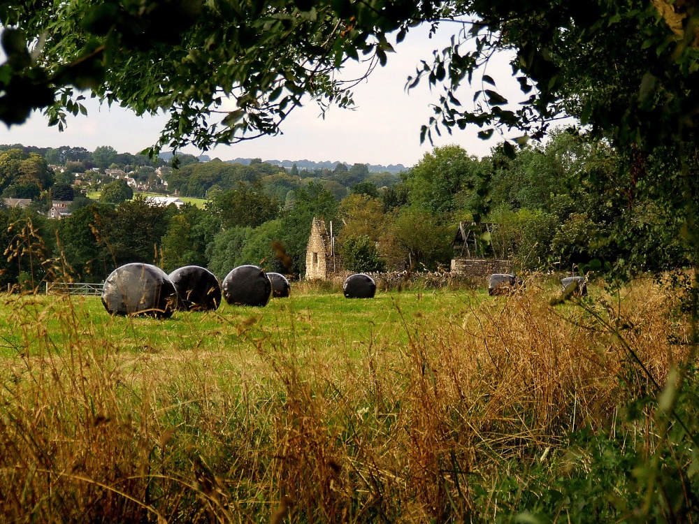 Cotswold Harvest