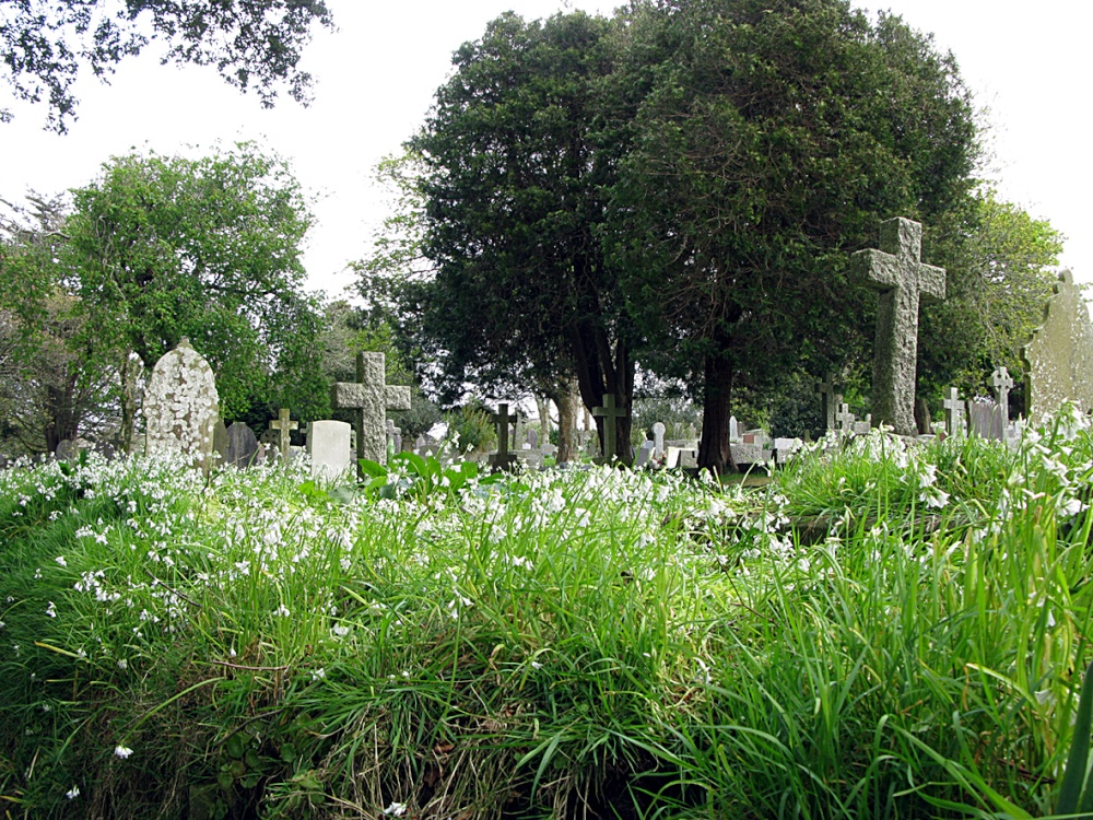 Photograph of Cemetery near St. Euny Church Redruth