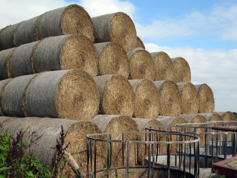 Hay bales