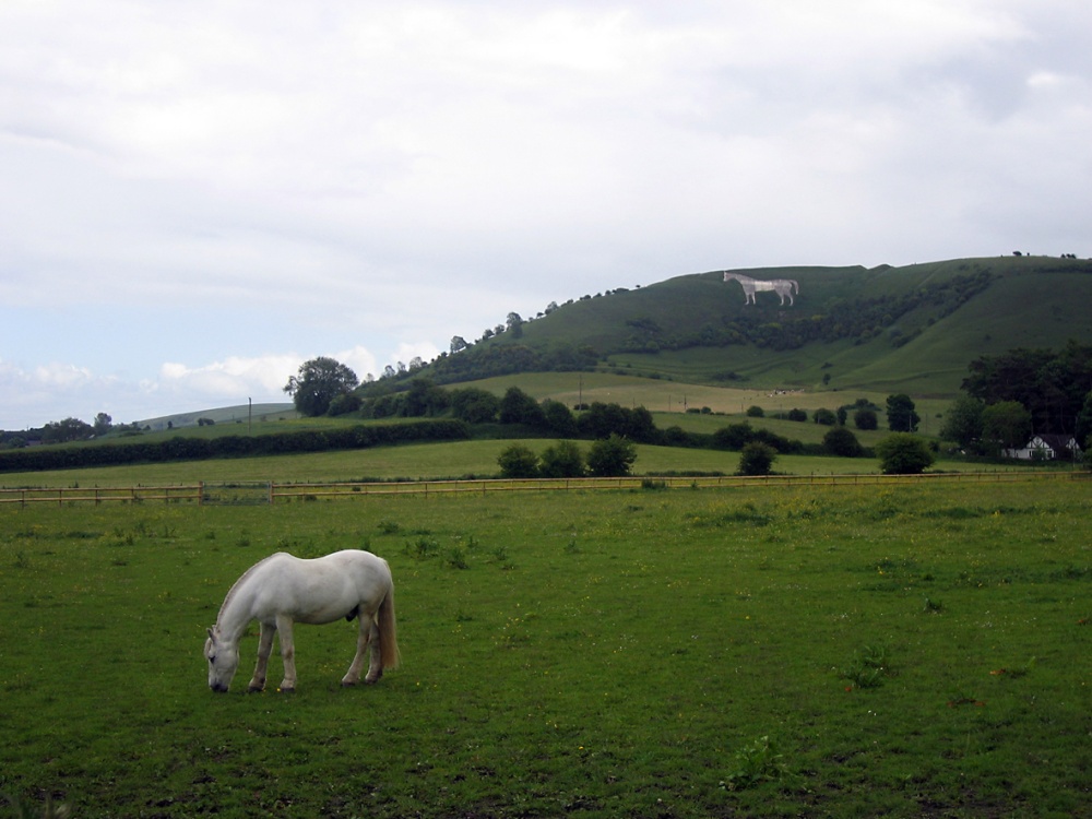 White Horse