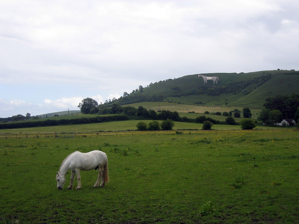 Photograph of White Horse