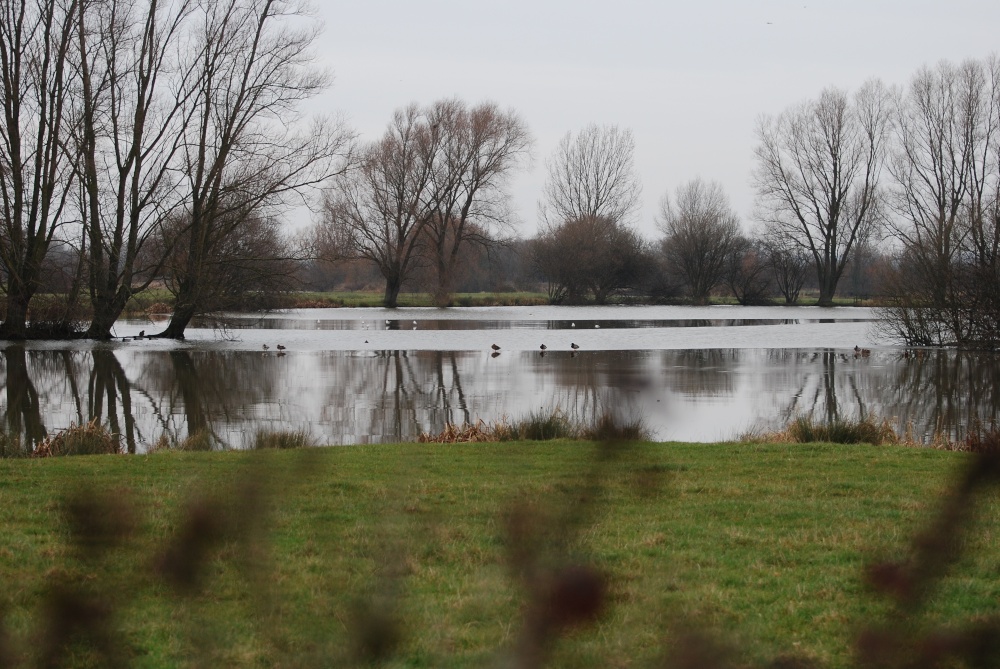 Cossington South Lakes