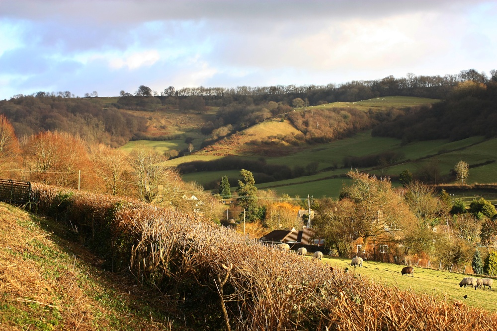 Combe Valley, Wotton under Edge
