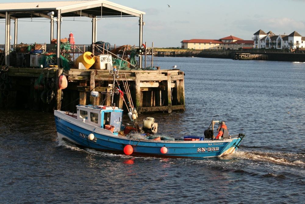 A fishing boat arrives at the Fish Quay.