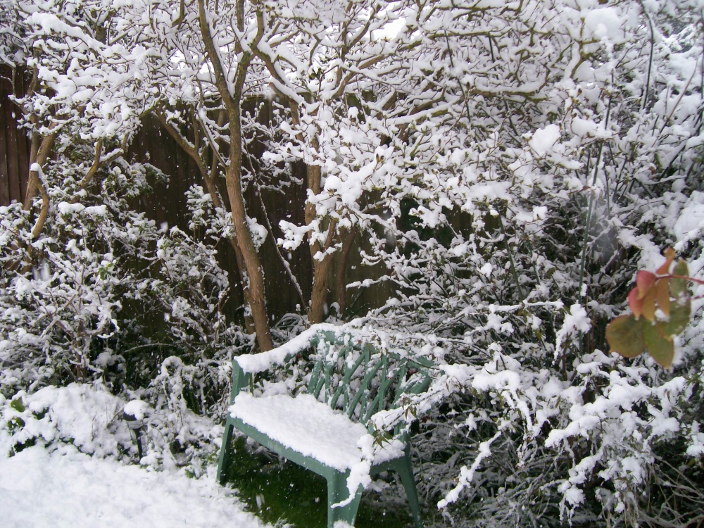 2008 Snow