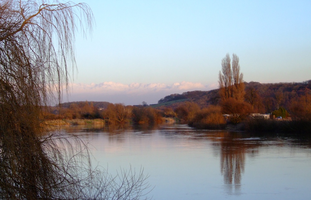 Riverside Reflections