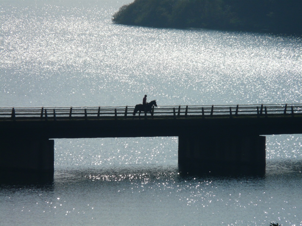 Photograph of Rider on the bridge
