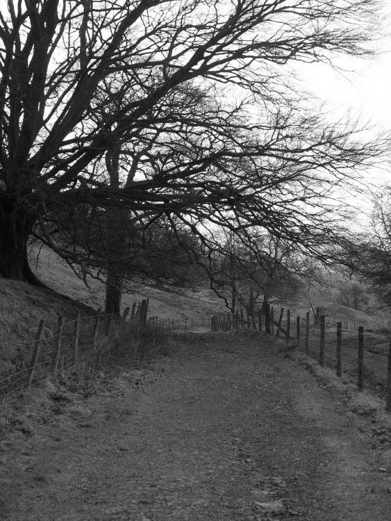 The coffin trail near Rydal Hall, Ambleside