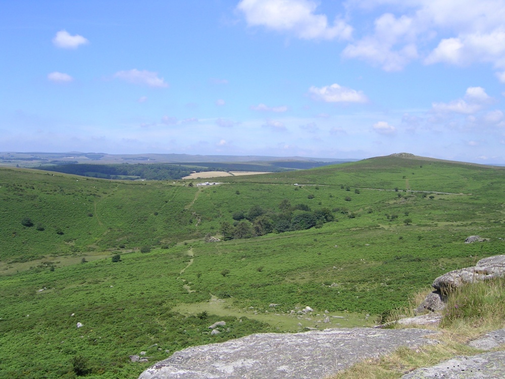 Dartmoor scene.