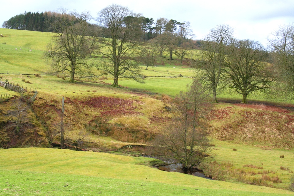 Knowlemere Manor Grounds
