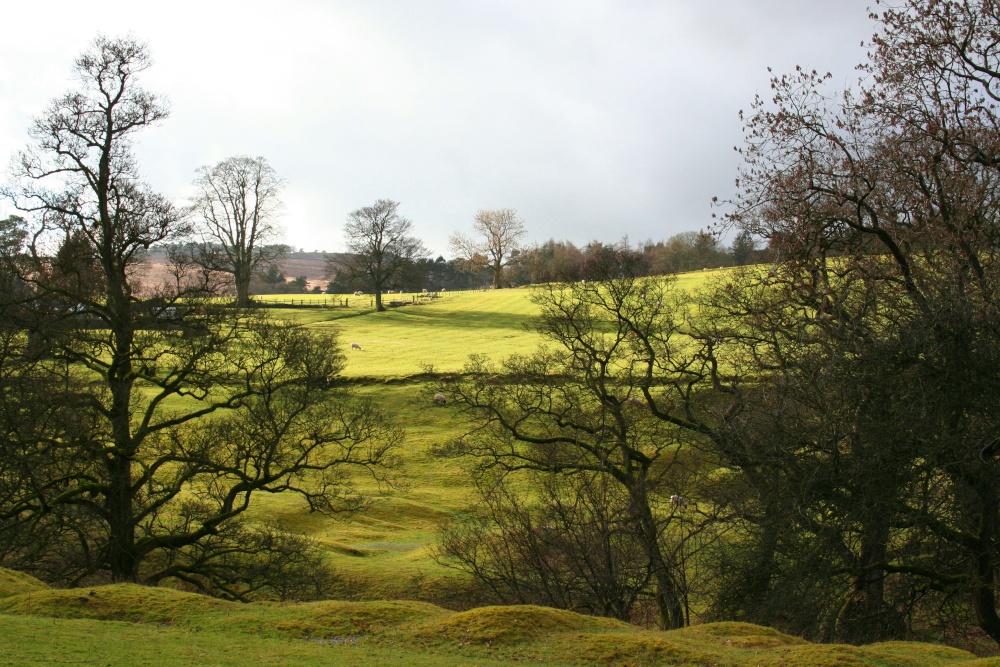 Knowlemere Manor Grounds