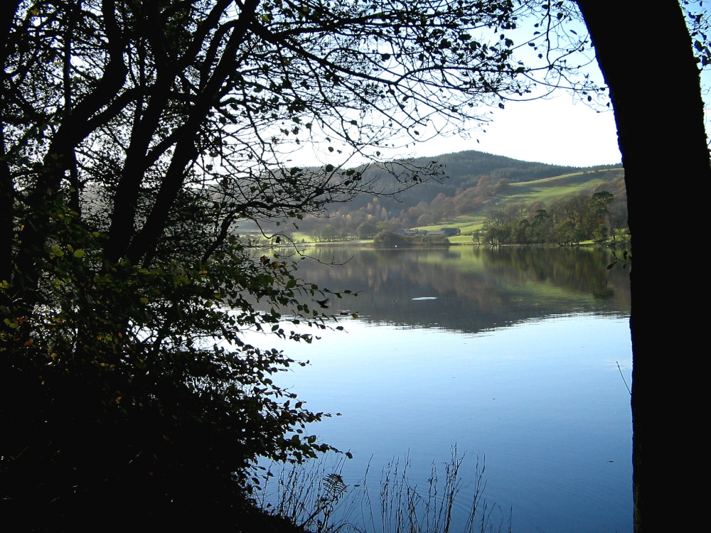 Esthwaite Water Nr Hawkshead