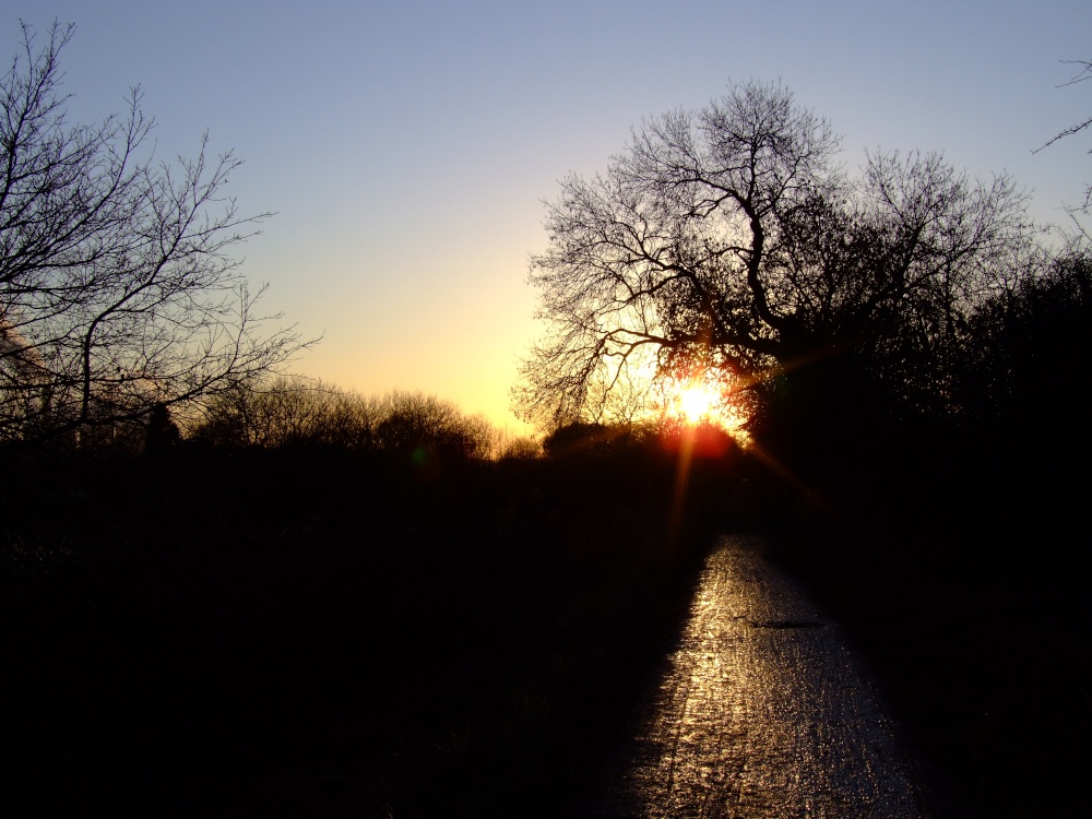 Footpath to a perfect sunset at Attenborough