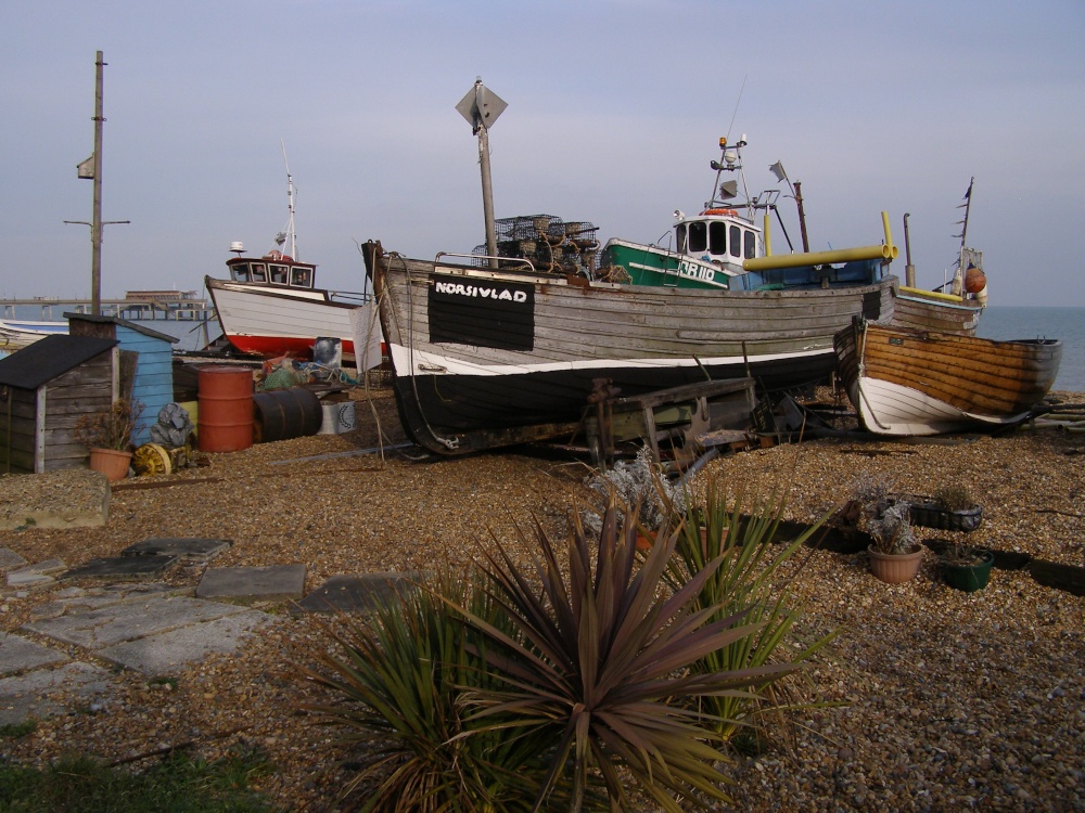 Boats on a beach.