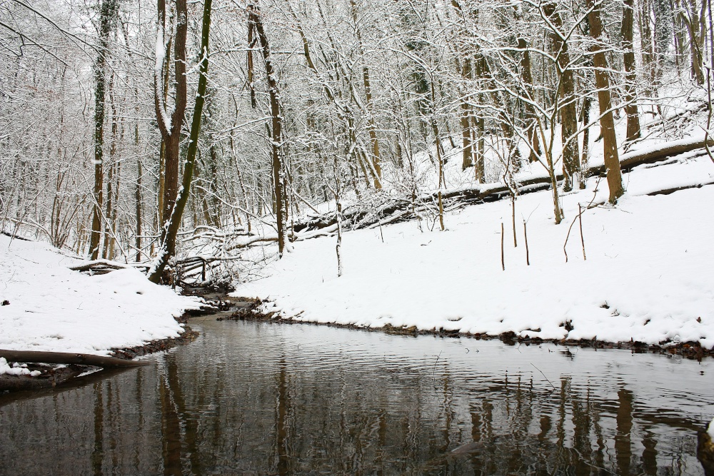Winter stream