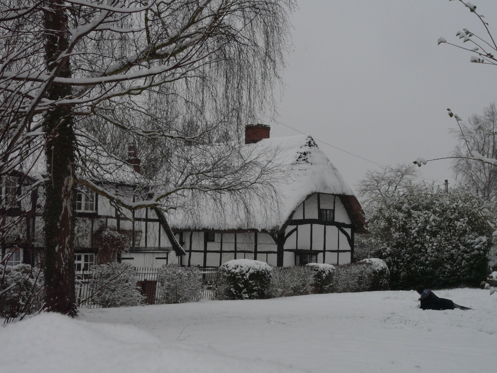 St. Aidans Cottage and White Cottage