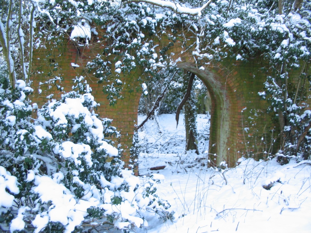 Winter 3.2.2009 Up Nately