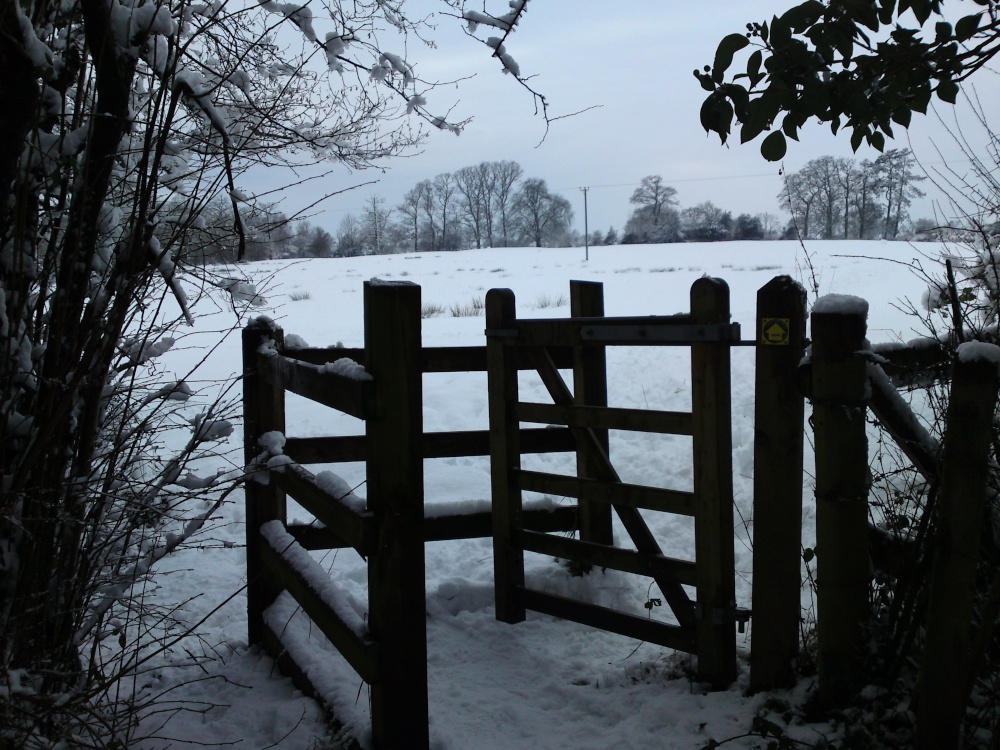 Photograph of Snow through the gate