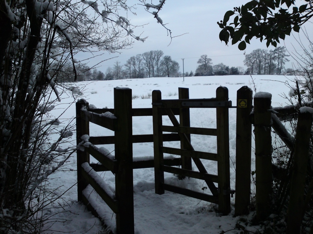 Snow through the gate