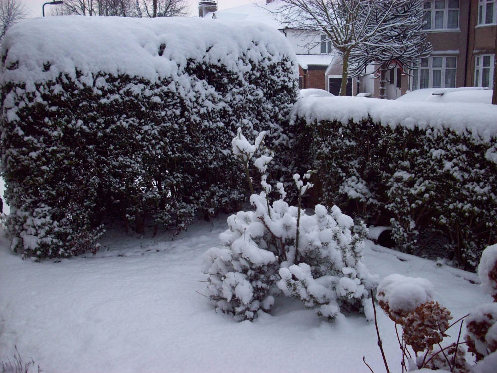 Snowy Sudbury - February 2009