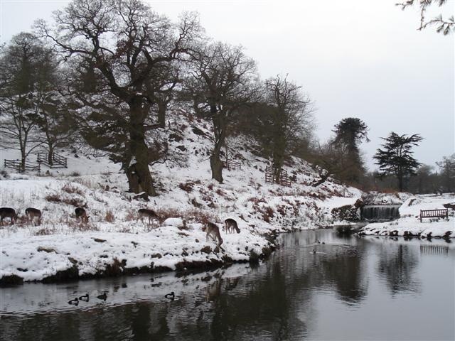 Bradgate in the snow