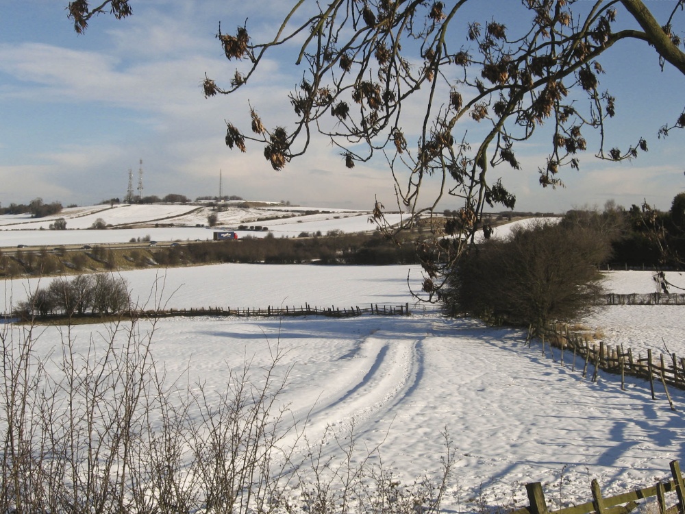 The masts at Clifton seen from Micklebring