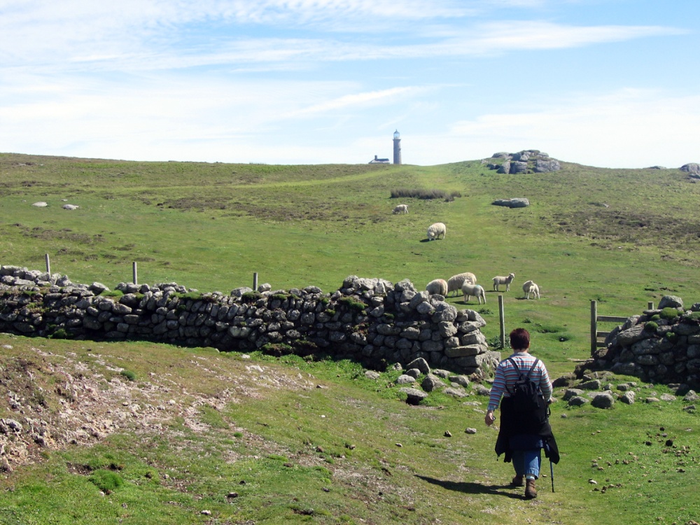 Visit to Lundy Island photo by Ted