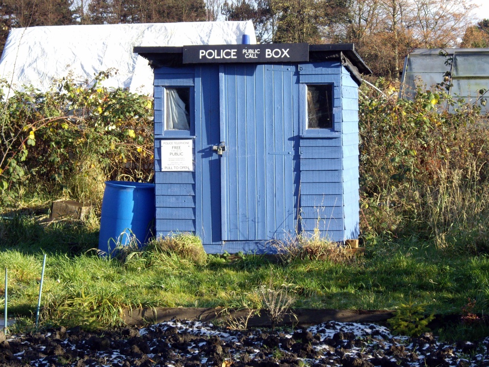 Photograph of The Shed