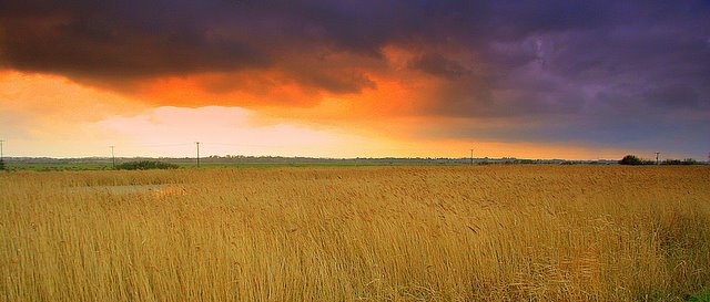 Sunset over Herringfleet Marshes