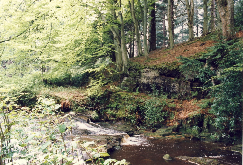 A picture of Cragside