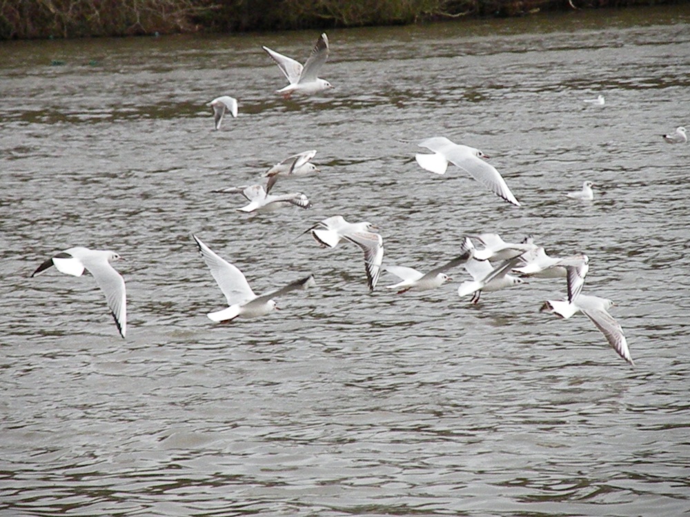 Why are we flying!!!!