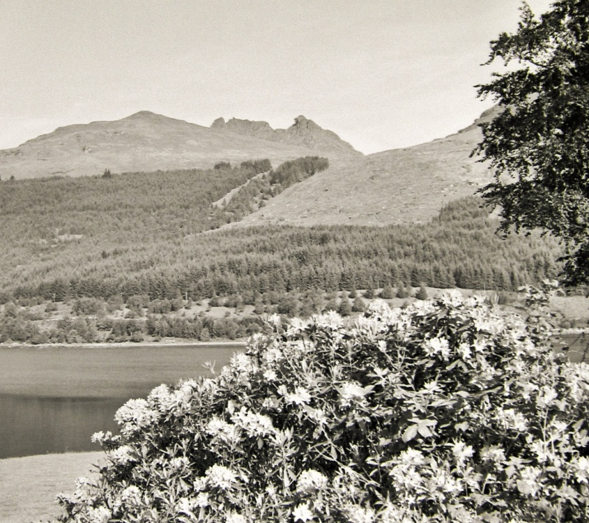 The Cobbler rocks from Arrochar