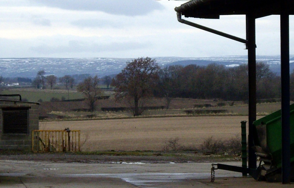 View from Manners' farm